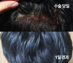 노컷